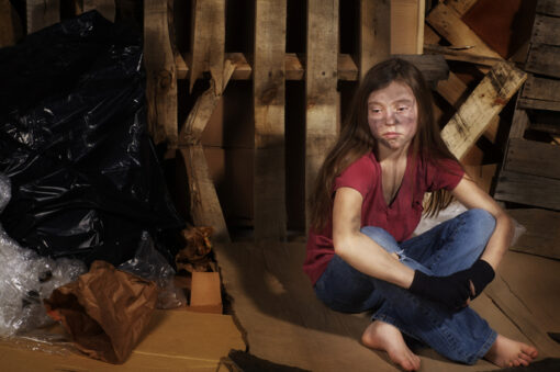 Reckless Endangerment itself is Not a Crime But These Examples of 