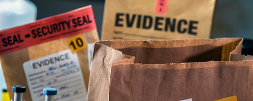 Federal Rules of Evidence